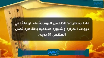 ماذا ينتظرك؟ الطقس اليوم يشهد ارتفاعًا في درجات الحرارة وشبورة صباحية بالقاهرة تصل العظمى 31 درجة.